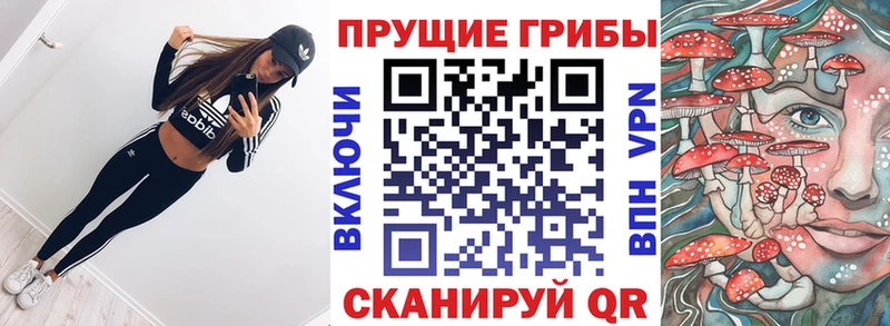 Псилоцибиновые грибы ЛСД  блэк спрут зеркало  Дедовск 